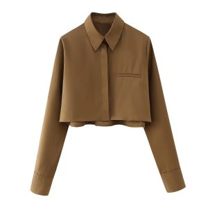 2024 spring and summer new women's European and American style fashion casual striped lapel single-breasted long-sleeved crop top shirt – Image 5