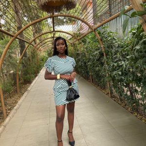 Européen et américain transfrontalier Amazon mode haute qualité rayé robes à manches bouffantes jupes pour femmes commerce extérieur jupes africaines – Image 3