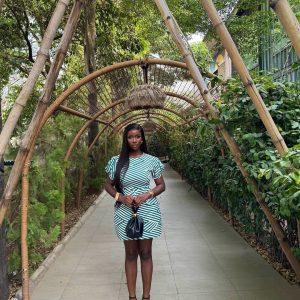 Européen et américain transfrontalier Amazon mode haute qualité rayé robes à manches bouffantes jupes pour femmes commerce extérieur jupes africaines – Image 4