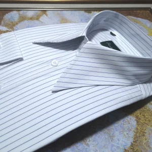 Authentic Khmer Micro Stretch Grade IV Italian Long Peak Collar Thin Strip Men's Slim Long Sleeve Shirt Gentleman Wedding Master of Ceremonies – Image 4
