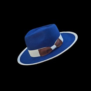 Cross-border direct sales teardrop top sheep felt hat bow pure wool felt hat – Image 3