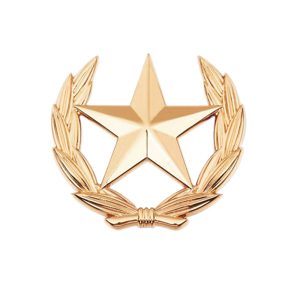 European and American fashion personality wheat ears five-pointed star brooch men's shirt collar decoration personality tide coat chest badge – Image 5